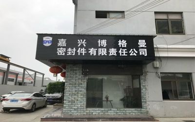 چین Jiaxing Burgmann Mechanical Seal Co., Ltd. Jiashan King Kong Branch نمایه شرکت